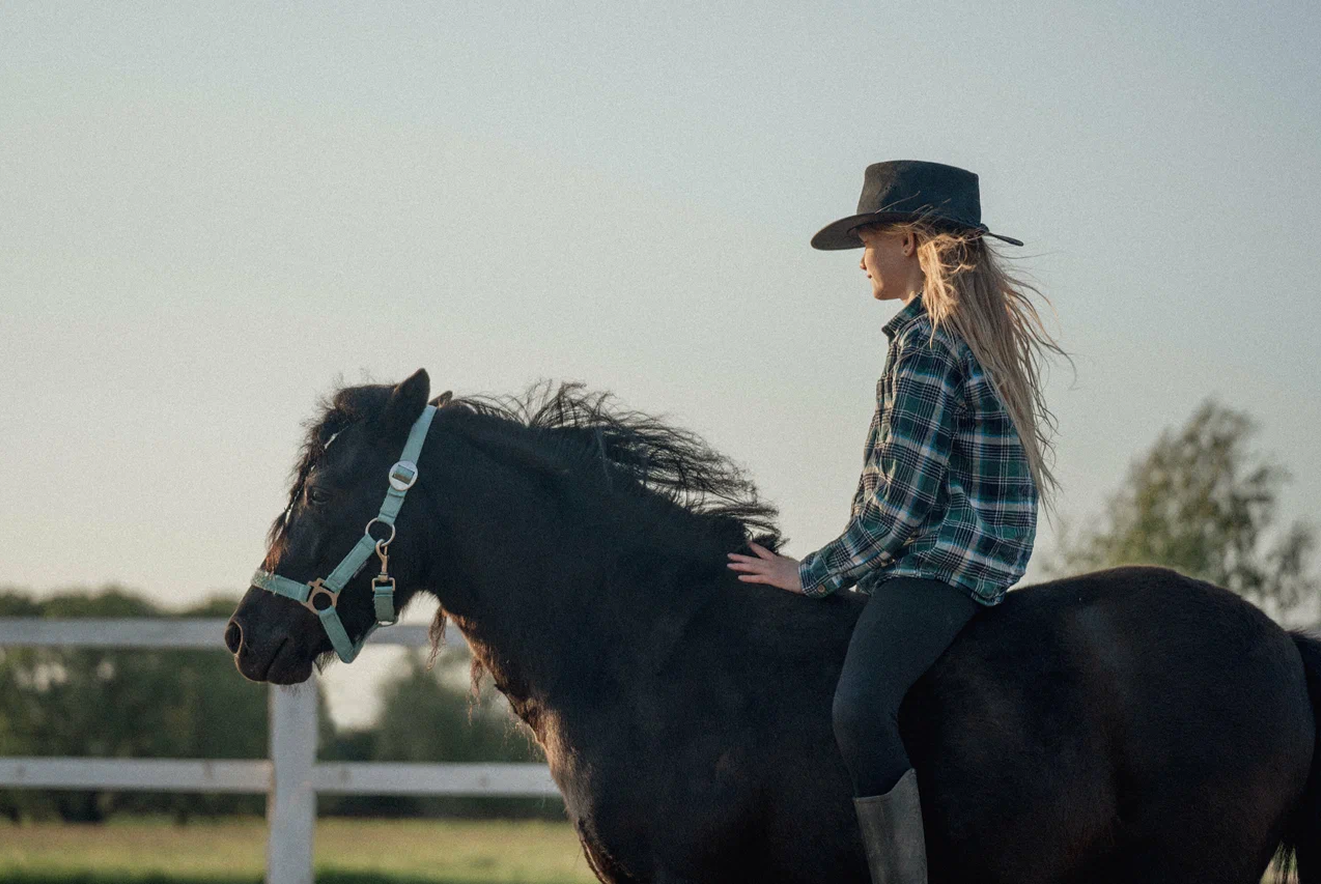 Конный клуб «Свобода Лошадей»